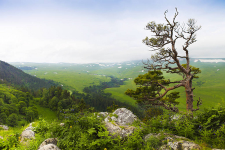 山的风景。瓦利维尤