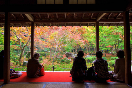 在秋天的 Enkoji 寺的访客