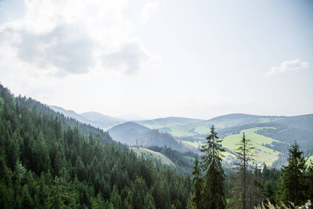 欧洲斯洛伐克 Tatra 山脉的一座美丽的山地景观。夏天风景与山和森林