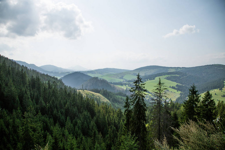 欧洲斯洛伐克 Tatra 山脉的一座美丽的山地景观。夏天风景与山和森林