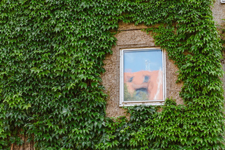 窗口有的房子墙上覆盖着长春藤