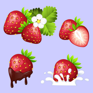 组的成熟甜草莓与流动巧克力 奶油 叶和花飞溅