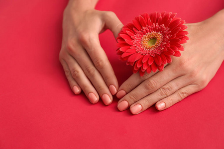 美丽的年轻女子的手与专业的指甲和花的颜色背景