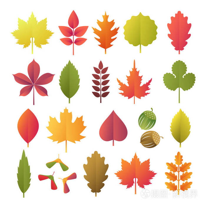 五颜六色的秋天叶子设置了在白色背景被隔绝.剪纸3d 平型, 矢量插画