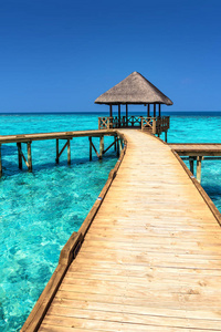 异国情调的天堂。旅游, 旅游和度假概念。马尔代夫热带度假酒店