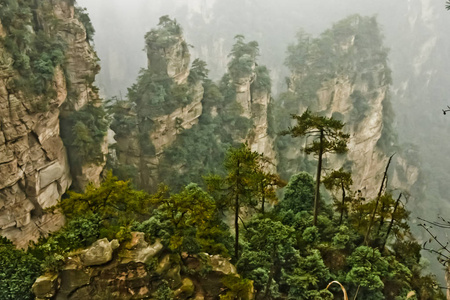 雾中的岩石峭壁, 陡峭的悬崖。中国, 张家界国家森林公园