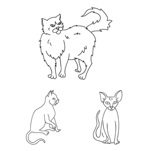 猫的品种大纲集合中的图标设计。宠物猫矢量符号股票网页插图