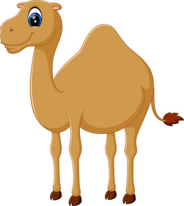 可爱有趣骆驼的插图
