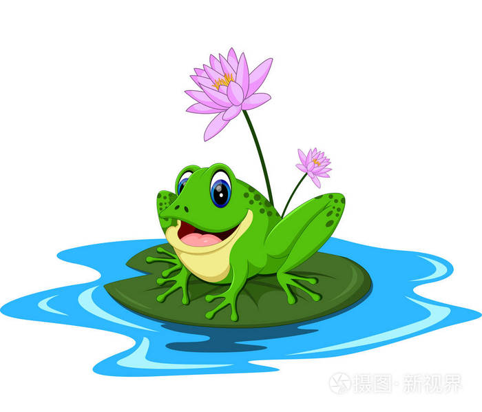 坐在一片叶子上的有趣的绿色青蛙卡通