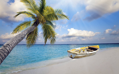 马尔代夫。沙滩上的小船和一棵棕榈树