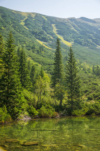一个美丽, 干净的湖泊在山谷中平静, 晴朗的一天。山风景与水在夏天。塔特拉山脉在斯洛伐克, 欧洲