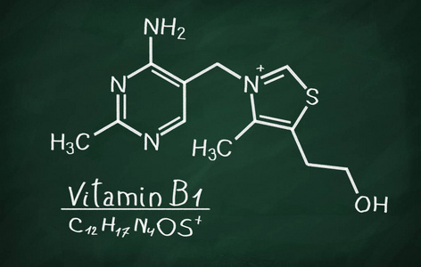 维生素b1硫胺素结构模型