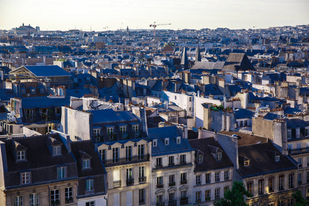 巴黎的屋顶上