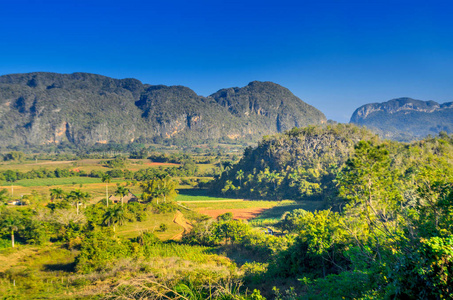 古巴 vinales 谷, 农村, 古巴烟草农场