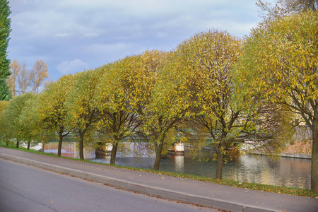 在多云的天空中, 沿河的堤防上有秋叶的树木