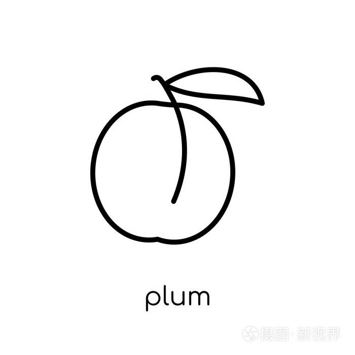 时尚现代平线性向量李子图标在白色背景从细线果子并且蔬菜汇集, 概述