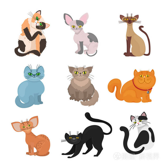 卡通猫矢量图
