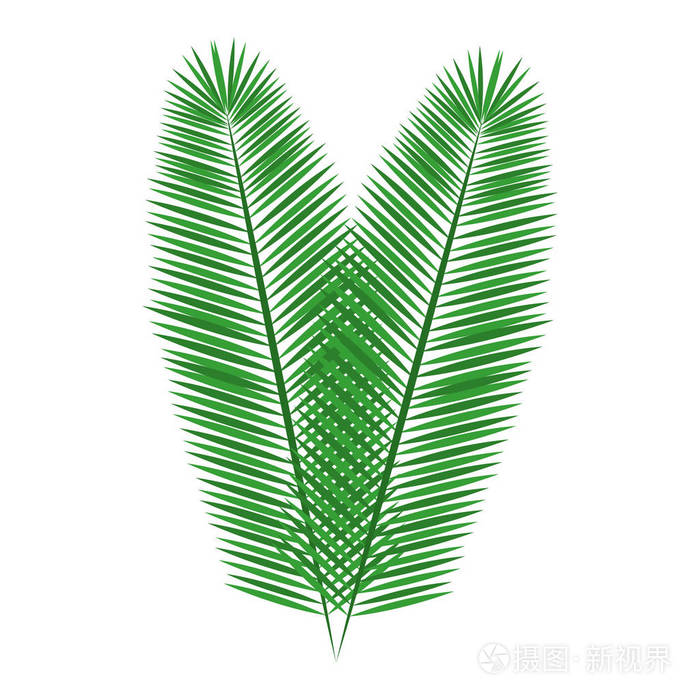 绿色的羽毛嘉年华图标