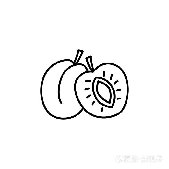 用内核画整个杏子的黑白矢量图.与种子的新鲜水果的线图标.