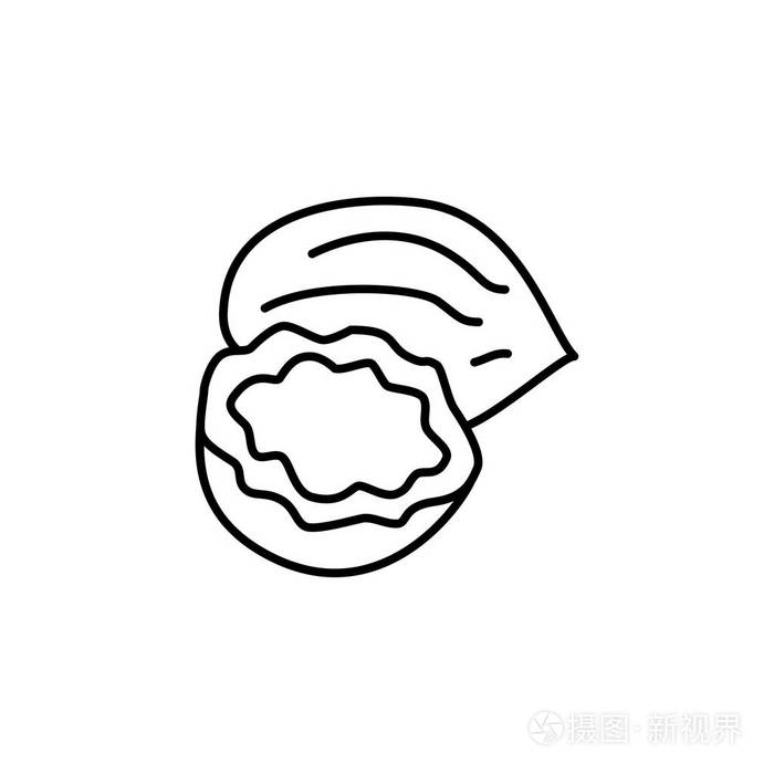 全彩椰子的黑白矢量图解.新鲜可可坚果的线条图标.素食和素食.