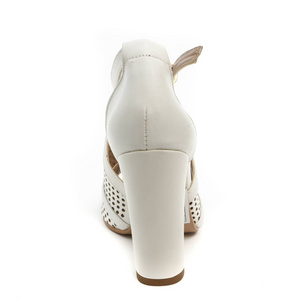 妇女的 demi 季节鞋子皮革在白色背景
