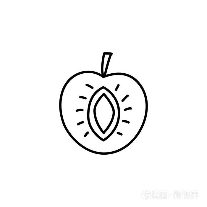 杏子的黑白向量例证.线图标的新鲜切水果与 sead.素食