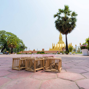 美丽的建筑学在临时那琅勃拉邦寺庙在万象, 老挝