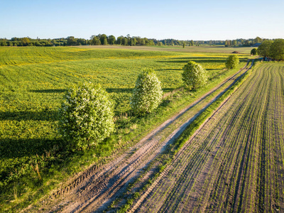 乡村乡村五颜六色的早春树间路的无人机照片-