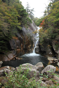 三岳 Shosenkyo 三峡和 Senga 与红色秋天落叶在口福，日本山梨县