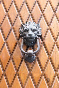 意大利锡耶纳的门环图片