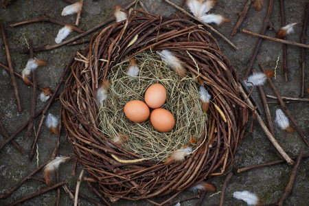 三个鸡蛋在巢