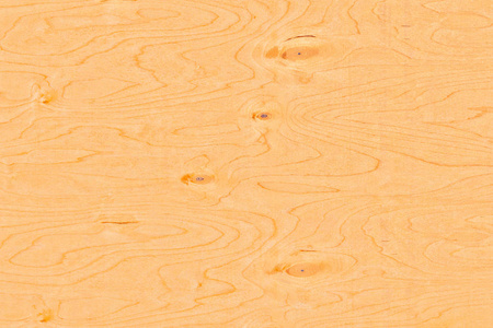 天然桦木单板的质地与结。桦木胶合板的表面