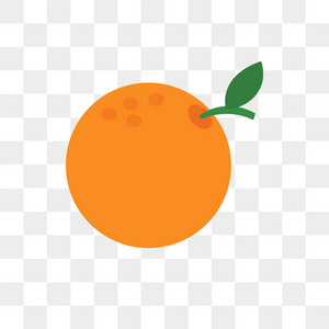 橙色矢量图标在透明背景上隔离, 橙色 lo