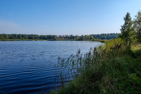 乡村的湖泊或河流清澈的水中的自然倒影。秋季颜色