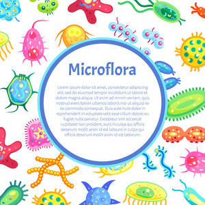微生物菌群海报与细菌载体插画