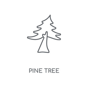 松树线形图标。松树概念笔画符号设计。薄的图形元素向量例证, 在白色背景上的轮廓样式, eps 10