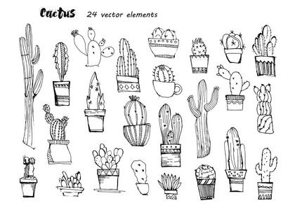 仙人掌手绘素描。不同五颜六色的仙人掌的集合