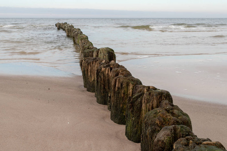 海滩上的旧防波堤护柱。在中欧海岸。秋天的季节