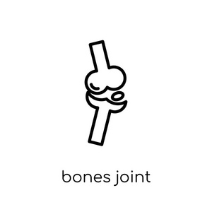 骨骼接头图标。时尚现代平面线性向量骨头联合图标在白色背景从细线人体零件汇集, 可编辑的概述冲程向量例证