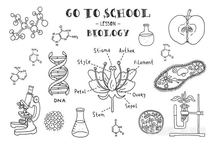 手工绘制的生物学迹象