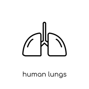 人类肺 图标。时尚现代平面线性向量人 lungs 图标在白色背景从细线人体零件汇集, 可编辑的概述冲程向量例证