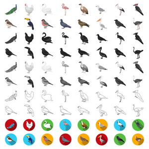 类型的鸟类卡通图标集收集为设计。首页和野生鸟矢量符号股票网站插图