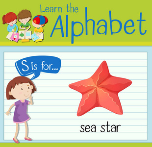 抽认卡字母 S 是为海洋之星