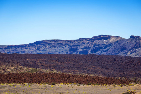 Teide 国家公园的美丽的风景, 特内里费岛, 加那利群岛, 西班牙