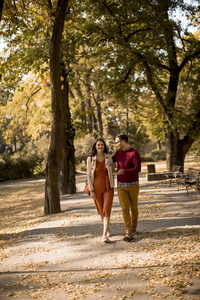 可爱的年轻夫妇走在秋天的公园