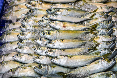 新鲜的鲭鱼被放在冷藏板上的一排。为客户购买食品