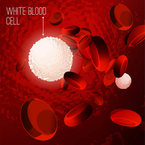 血液细胞背景