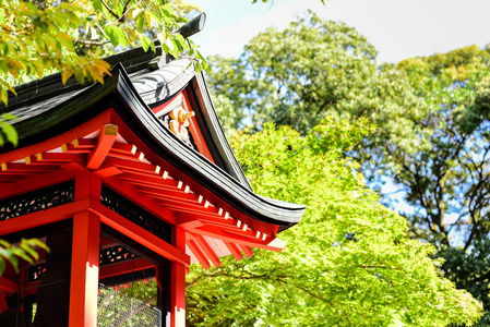 日本的寺院，绿色的枫树林