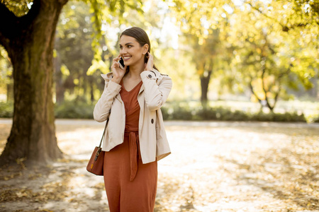 愉快的年轻妇女使用手机在秋季公园在美丽的一天