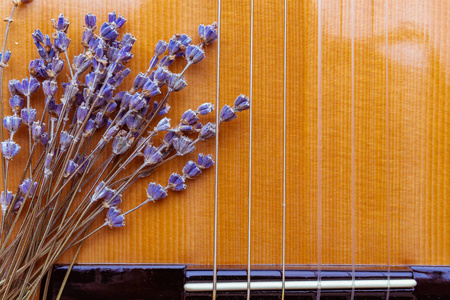 乐器声学吉他, 黄色的木甲板装饰着干束薰衣草花的弦, 特写镜头, 片段, 顶视图。音乐与自然的概念